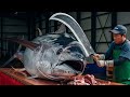 INSANE 990LB Bluefin Tuna Cutting Every Slice Is Perfection