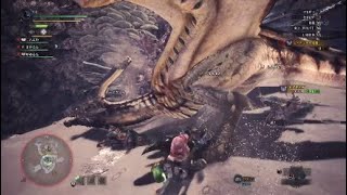 [MHW]初心者女ののんびりサークル活動♯８　相棒と捕獲編