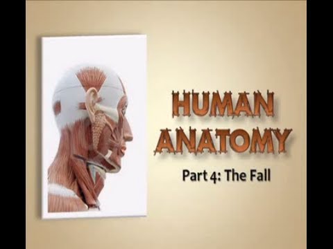 The Fall (Series: "Human Anatomy" - Part 4), Pastor Kamal Sampara