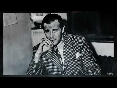 22 Mob Stories That Sound Fake But Are Completely Real | Compilation