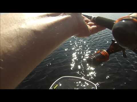 Gros brochet : touche et combat en direct en plein été