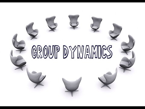 Understanding Group Dynamics