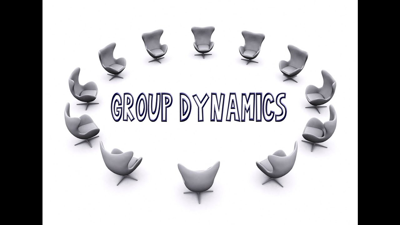 Understanding Group Dynamics