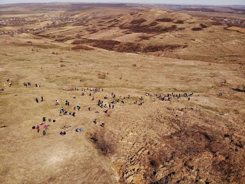 Actiune impadurire Mogosesti, Iasi