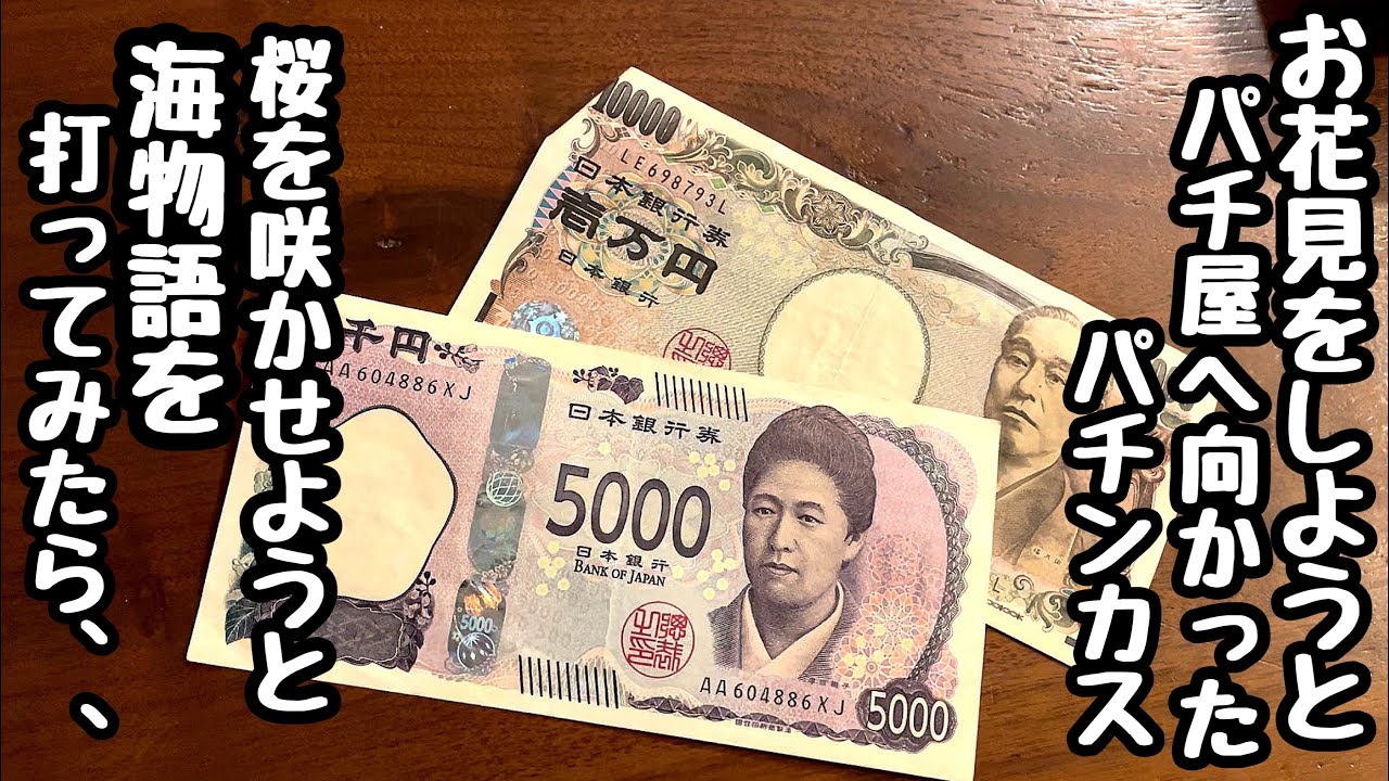 お花見をしようとパチ屋へ向かったパチンカス。海物語で桜を満開にさせてお金を稼いでみる。【Pスーパー海物語 IN 沖縄5 桜ver.199】