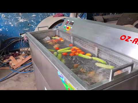 Ozone Based Fruit & Vegetable Washer