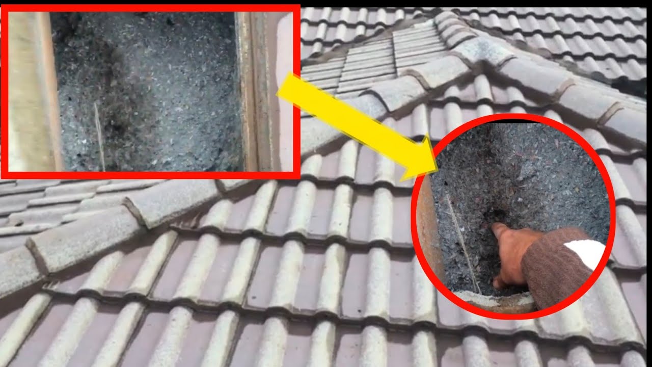 Why Cellulose fibre insulation handles roo