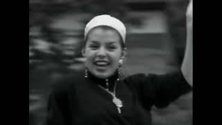 Jim Foster  -  The Dogs Are Howling