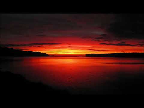 VA  -  Trance In Motion Vol.262 (Mixed by Emil Sorous)