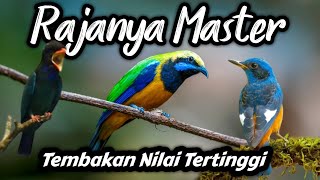 Download lagu Dahsyat!!! MASTERAN BURUNG FIGHTER FULL TEMBAKAN PALING SADIS‼️ mp3