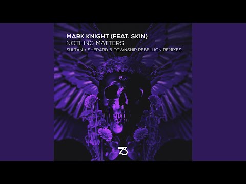Nothing Matters (feat. Skin) (Township Rebellion Remix)