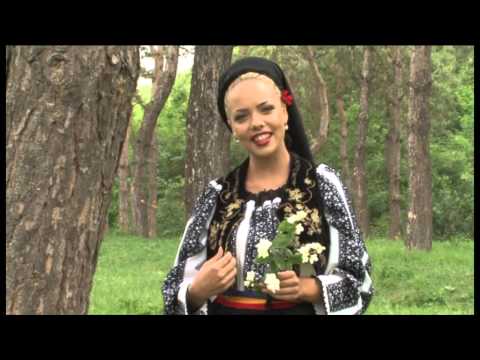 OANA BOGDANA POP - FRUNZA VERDE TAMAITA