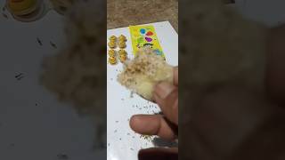 Download lagu berbagi cemilan ndeso getuk klopo #shorts mp3 Download lagu berbagi cemilan ndeso getuk klopo #shorts mp3