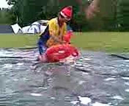 devodames renesse 2008