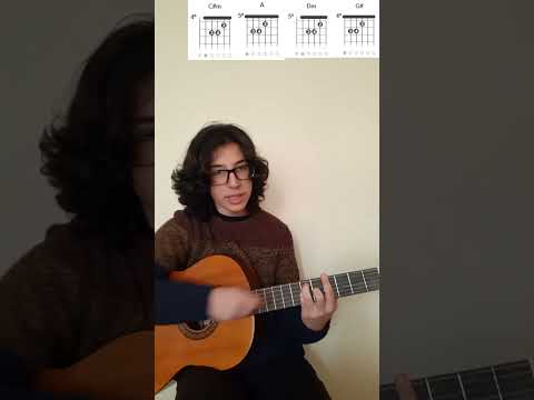 Dia Mau - Ornatos Violeta