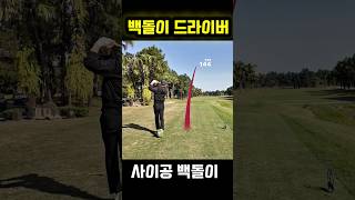 하노이 골프장 겨울골프 최고 #골프스윙 #하노이골프 #드라이버스윙 #드라이버페이드