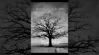 The Oak. Opera IX Subtitulada Español