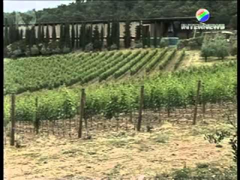 PROCEDURE SEMPLIFICATE PER LE AZIENDE AGRICOLE TOSCANE