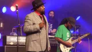 George Clinton & Parliament / Funkadelic - Testify (Live in Copenhagen, August 1st, 2014)