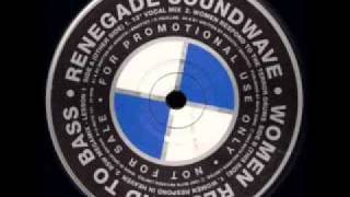 Renegade Soundwave - Women Respond To Bass (Women Respond In Heaven)