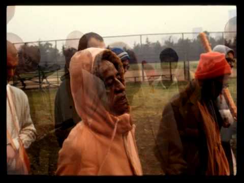 Demons Elected by Demons (Morning Walk)