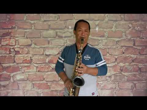 I Never Gonna Let You Go (Alto Sax Cover)