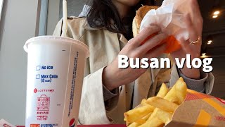 釜山在住日本人の日常 | 学校に通い始めました | 最後はポチャでベロンベロンに酔っ払う | 부산에 사는 일본인 | 학원 다니기 시작 했어요 #韓国vlog #日韓夫婦 #한일부부