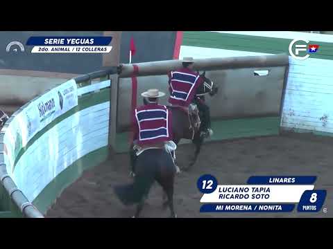 Los tres toros en la serie Yeguas de Bella Catalina en el Clasificatorio de Pelarco 2023