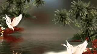 Joe Dolan - Endless Magic