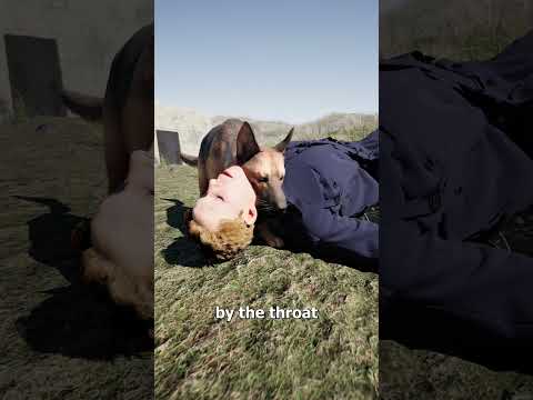 The Hero War Dog 😮