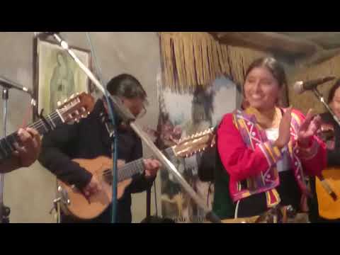 JILGUEROS EN PEGUCHE PEÑA BAR 2019