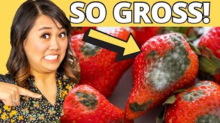 How to Keep Berries Fresh Longer up to 21 Days with NO MOLD
