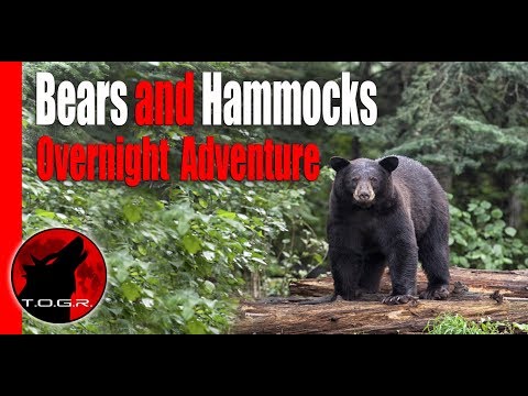 Hammocking in Bear Country - Backpacking Adventure