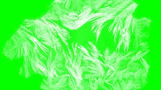 Freeze / Congelar – Green Screen / Chroma Key
