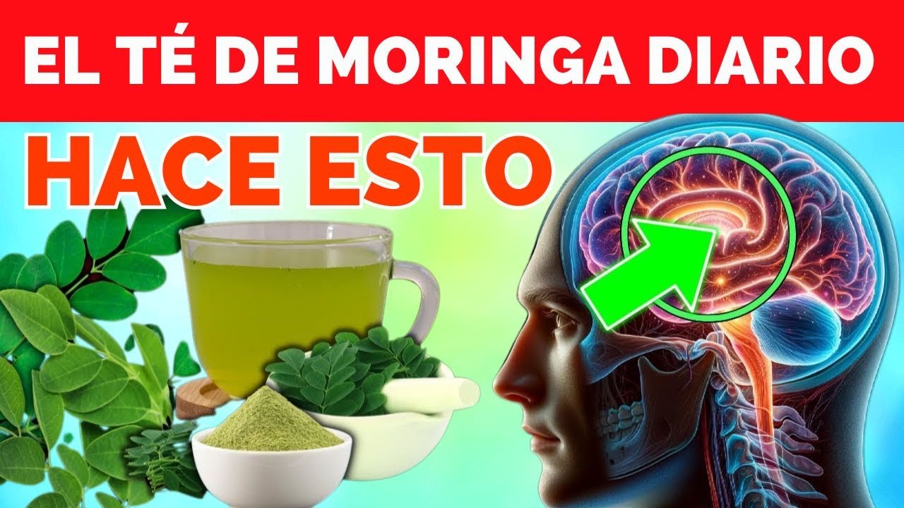 7 RAZONES Para Beber té de Moringa Diariamente (Beneficios de la Moringa)
