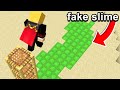 Fooling My Friend With FAKE SLIME In Minecraft