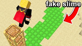 Fooling my Friend with FAKE SLIME in Minecraft...