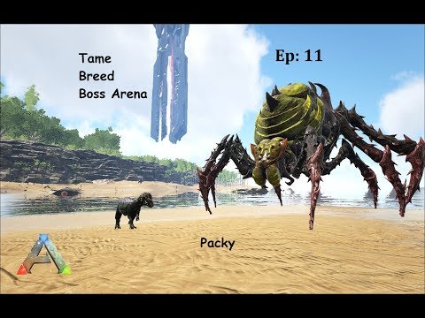 Ark How to Tame, Breed, Boss Arena Gamma Broodmother : Ep 11 : Pachy