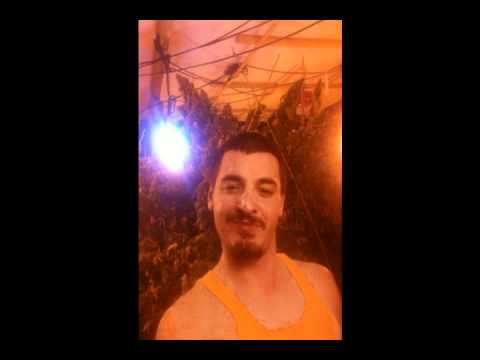 BG SurovaRealnost - Hipiti Hoping