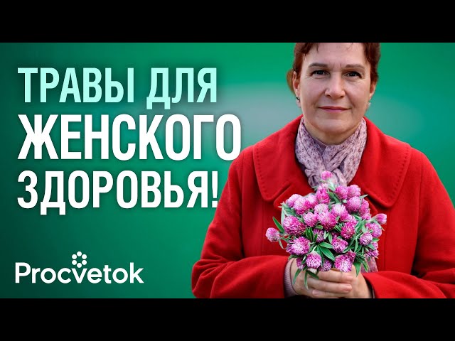 САМЫЕ МОЩНЫЕ ЖЕНСКИЕ ТРАВЫ! Помогут при климаксе, ПМС, плохом настроении и для красоты
