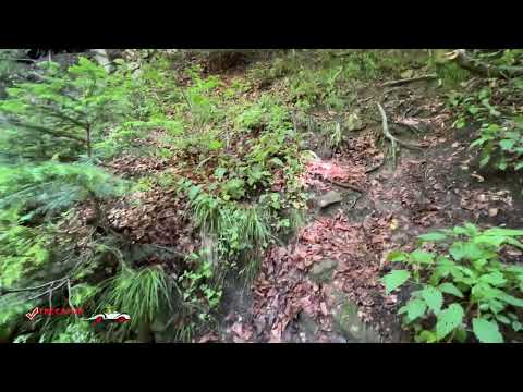 Cascada Bisoca, Jud Buzău, România