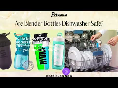 Are Blender Bottles Dishwasher Safe