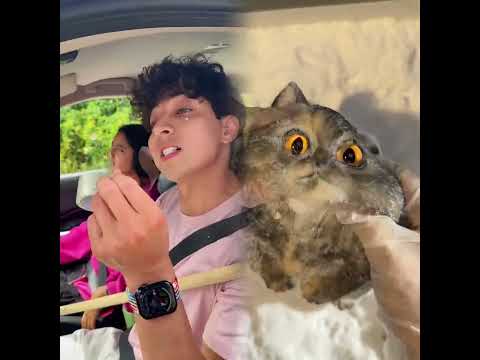 PARA TODO EXISTE UNA SOLUCIÓN 😂