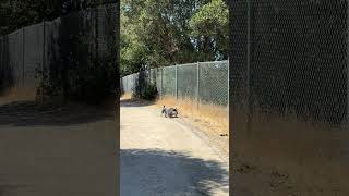 Download lagu Día asoliado #music #unstoppable #challenge #song #foryou #nature #gooddreams #goodvibes mp3