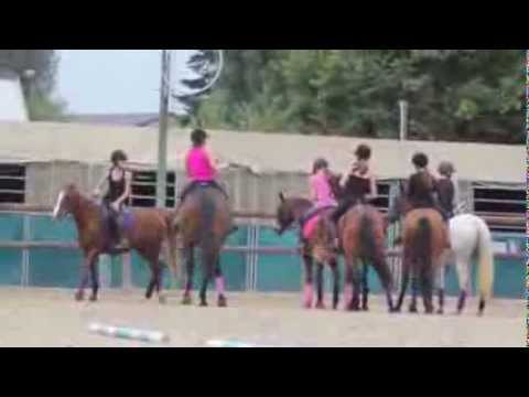 horseball - Fête du cheval 2013