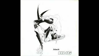 The Black Dog - Chiba
