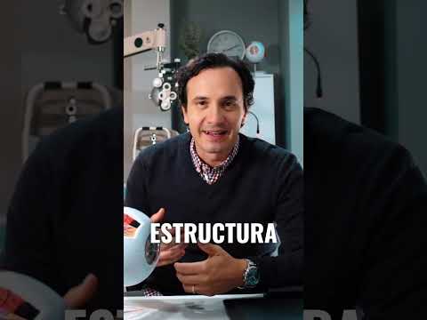 José Miguel Cueto H.-15