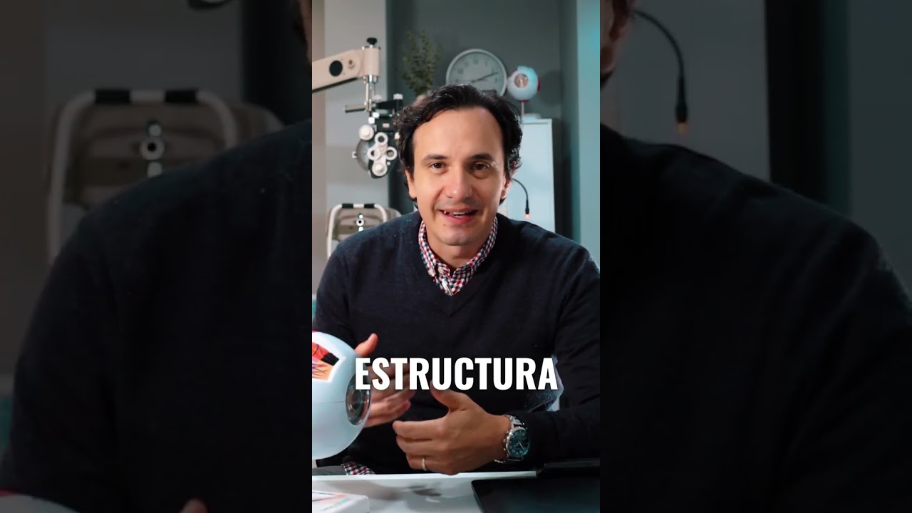 José Miguel Cueto H.-15