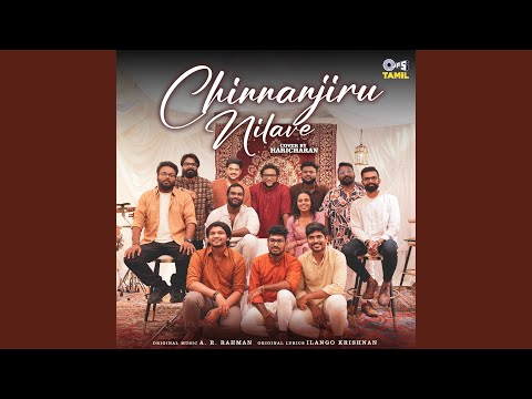 Chinnanjiru Nilave (Cover Version)