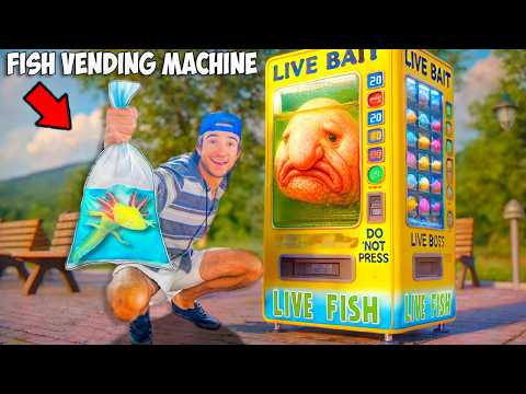 I Bought a Mystery Egg from a Live Fish Vending Machine...